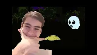 Eles gostam de bananas? CatGhost 5 ft.HUMANIDADE