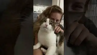 ТГ: t.me/dautova ♥️ #рек #коты #любовь