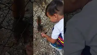 Mi hijo en el parque ❤️