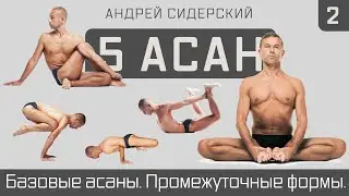 Промо | Андрей Сидерский | Базовые асаны. Промежуточные формы. Сидерский. 5-10