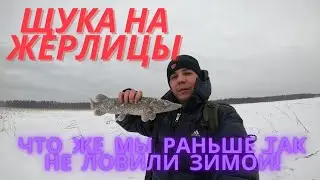 Ловля щуки на жерлицы поставушки зимой