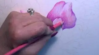 Colored Pencil Instruction with Paula Leopold