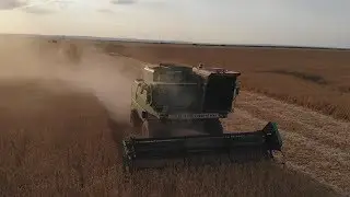Уборка пшеницы 2018 (Волгоградская область)