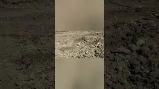 Jamaican Contractor Explaining Foundation Works