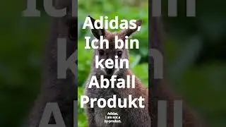 Animal Welfare Activists Disrupt Annual General Meeting of adidas in Germany