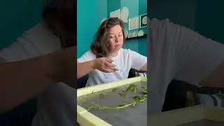 Как сделать Ботанический барельеф из гипса своими руками. Гипсовое панно с растениями. 