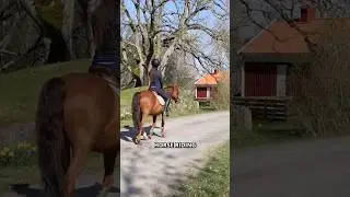 Have you ridden in Sweden?! 🇸🇪