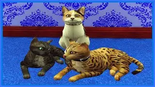 КАКОЕ МАКСИМАЛЬНОЕ КОЛИЧЕСТВО ПИТОМЦЕВ МОЖНО ПРИЮТИТЬ?!|Эксперименты в The Sims