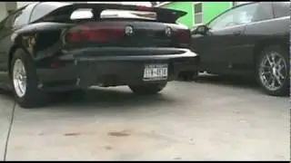 Trans Am WS6 with a T-Rex cam