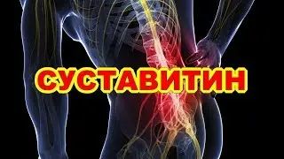 Суставитин Цена Купить