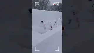SNOW FESTIVAL | Sakura