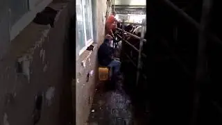 Вітьок, приколи на роботі