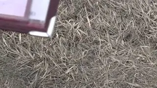 Менты не ожидали!