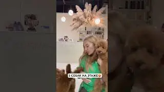 Стало еще больше любви. Но уже пора на природу) соседа жалко 