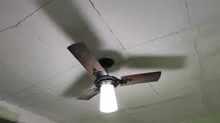 Coloquei forro de isopor na laje. Isolamento térmico.
