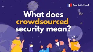 What does Crowdsourced Security mean?