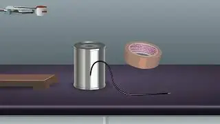 To demonstrate Electrostatic Shielding