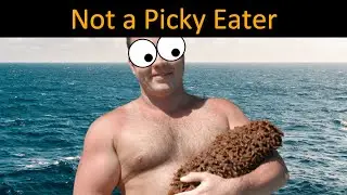 How does a SEA CUCUMBER eat?