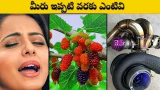 మీరు తెలుసుకోవలిసిన విషయాలు #factstelugu #interstingfactsintelugu #facts #viralvideo