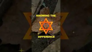The Difference of Magick