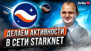 Тестнет StarkNet. Делаем активности в сети StarkNet