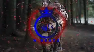 [FREE]  Trap Beat 2021 Free |Trap Rap Instrumental Beat 2021( Prod By. N-Beatz )