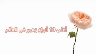 most expensive flowers in the word