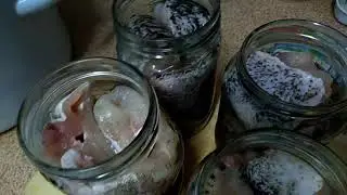 A super easy way to cook canned fish at home!
