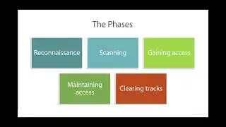 50  The Phases