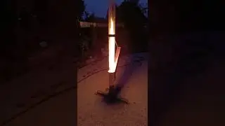 5 сентября 2024 г.