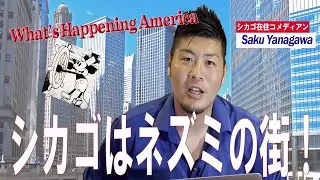 全米一のネズミの街、シカゴに新名所！
