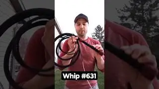 Testing Out Craig's Bullwhip