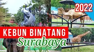 ZOO SURABAYA ZOO - Current conditions and how to buy the latest tickets 2022