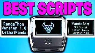 BEST Cronus Zen Script for Aim Assist (2026) | PandaAim vs Bull vs Pandathon