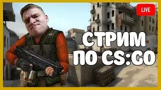 Стрим - CS:GO - Играем в ММ с рыбятками