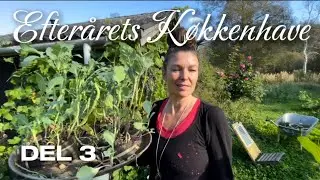 Efterårets Køkkenhave - del 3 |  Kål, Salater og Jord under Neglene