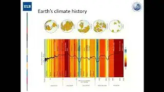 Lecture: Emergency Exit? Mitigation of extreme Oceanic Anoxic Event conditions by organic matter...