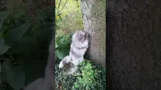 VID 20190927 164153