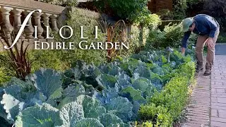 Planting an Edible Garden | Filoli's Fruitful Garden