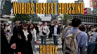 Shibuya Crossing: The World's Busiest Intersection in Tokyo!