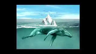 Hasil Manipulasi Photoshop Paus & Kura-kura