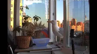 А что сразу я? Я ничего. Вазочка не по феншуй стояла.