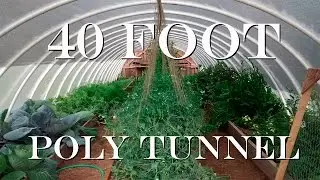 DIY 40 Foot Hoop House