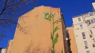Заставки Рекламы 