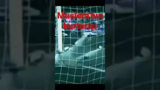 Muslera edit 3/enfes kurtarış🏟🏆🏅
