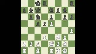 Zaderman Yuri (USA) VS Kreiman Boris (USA)