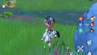 Genshin impact Ventis fake vision ornament