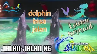 Ocean Dream Samudra Ancol OMG! MERMAIDS ARE REAL!!!