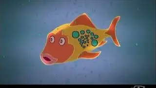 DocsPlus Homotoxic