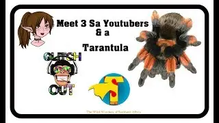 Meet 3 SA YouTubers & a Tarantula